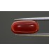 4.66 cts Natural Coral - Moonga (SKU:90082030)