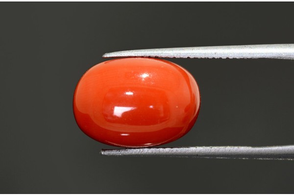 10.92 cts Natural Coral (Moonga)