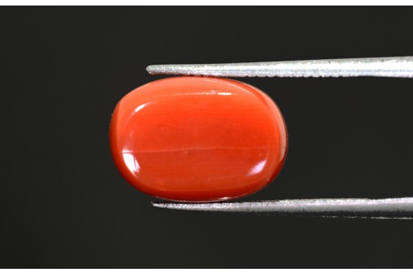 10.92 cts Natural Coral (Moonga)