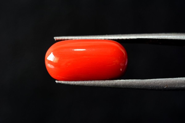 9.94 cts Natural Coral (Moonga)