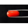 9.94 cts Natural Coral (Moonga)