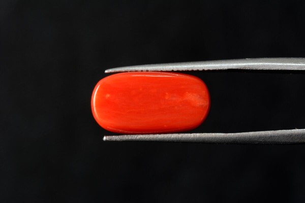9.94 cts Natural Coral (Moonga)