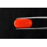 9.94 cts Natural Coral (Moonga)