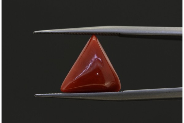 3.73 cts Natural Coral (Moonga)