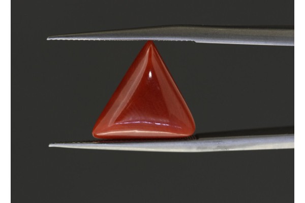 3.73 cts Natural Coral (Moonga)