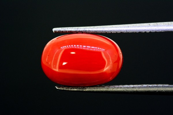 5.83 cts Natural Coral (Moonga)