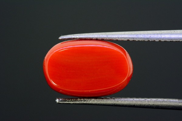 5.83 cts Natural Coral (Moonga)