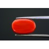 5.83 cts Natural Coral (Moonga)