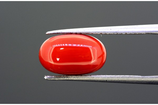 4.84 cts Natural Coral (Moonga)
