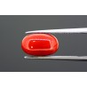 4.84 cts Natural Coral (Moonga)