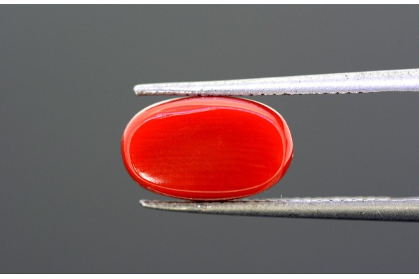 4.84 cts Natural Coral (Moonga)