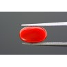 4.84 cts Natural Coral (Moonga)