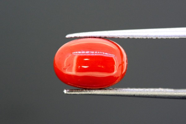 5.32 cts Natural Coral (Moonga)
