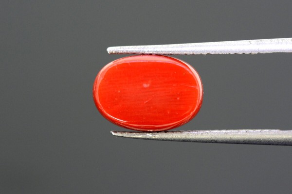 5.32 cts Natural Coral (Moonga)