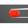 5.32 cts Natural Coral (Moonga)