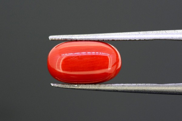 5.04 cts Natural Coral (Moonga)