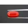 5.04 cts Natural Coral (Moonga)