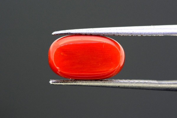 5.04 cts Natural Coral (Moonga)