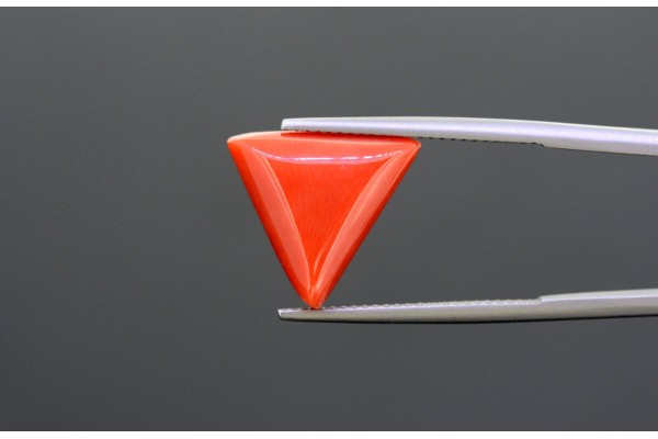 9.28 cts Natural Coral (Moonga)