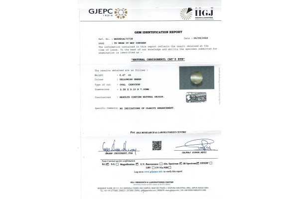 IIGJ Research & Laboratories | GJEPC Report for 6.47 cts Natural Cats Eye (Lehsunia)