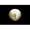6.03 cts Natural Cats Eye (Lehsunia)