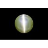 10.28 cts Natural Cats Eye (Lehsunia)