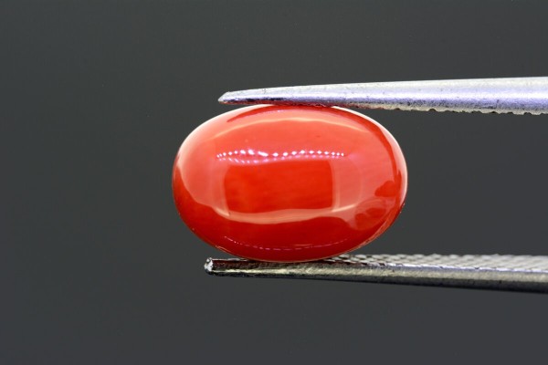 4.56 cts Natural Coral (Moonga)
