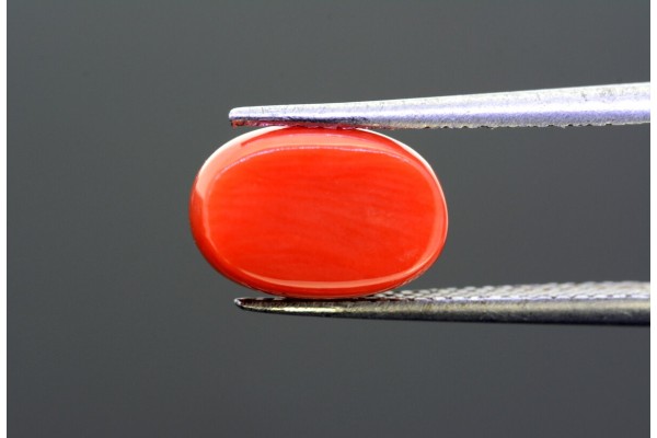 4.56 cts Natural Coral (Moonga)
