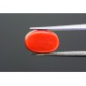 4.56 cts Natural Coral (Moonga)