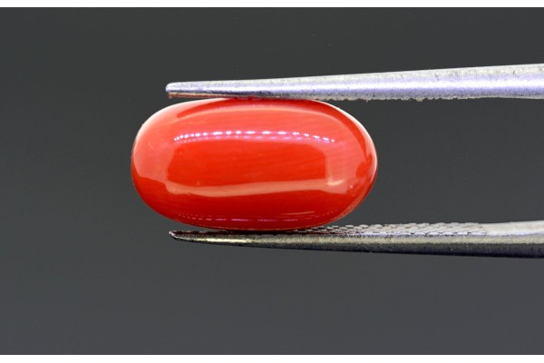5.89 cts Natural Coral (Moonga)