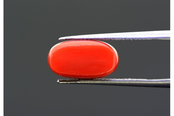 5.89 cts Natural Coral (Moonga)