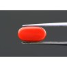 5.89 cts Natural Coral (Moonga)