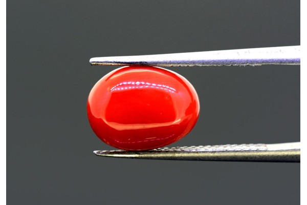 4.96 cts Natural Coral (Moonga)