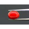 4.96 cts Natural Coral (Moonga)