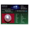 HIRCO Enterprises Pvt Ltd Report for 1.32 cts Natural Pearl (Moti)