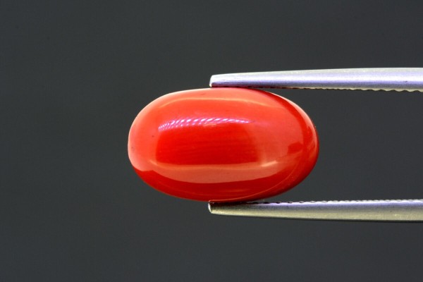 6.51 cts Natural Coral (Moonga)