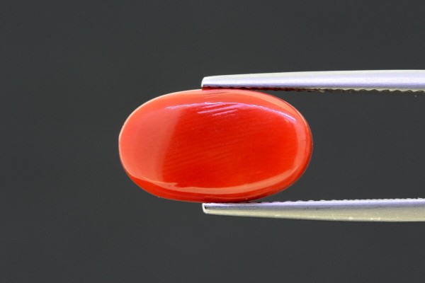 6.51 cts Natural Coral (Moonga)