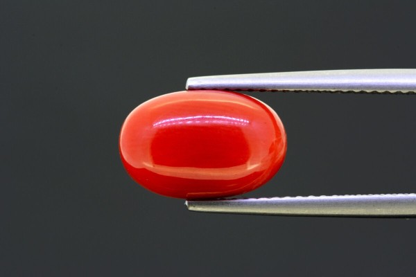4.74 cts Natural Coral (Moonga)