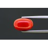 4.74 cts Natural Coral (Moonga)