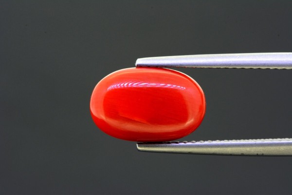 4.74 cts Natural Coral (Moonga)