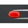 4.74 cts Natural Coral (Moonga)