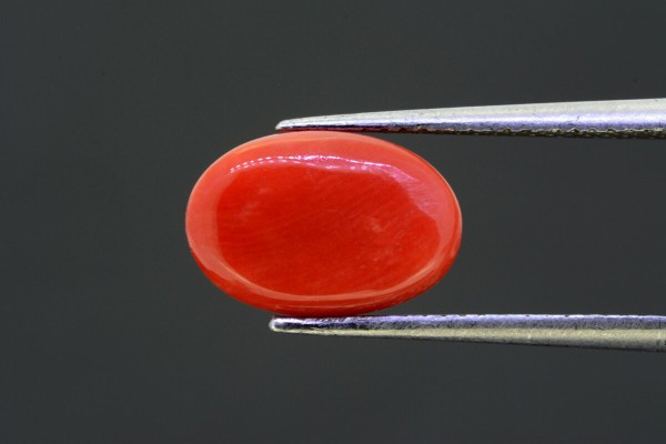 4.16 cts Natural Coral (Moonga)