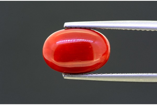 4.45 cts Natural Coral (Moonga)