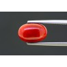 4.45 cts Natural Coral (Moonga)