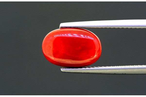 4.45 cts Natural Coral (Moonga)