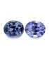 12.66 cts Unheated Natural Blue Sapphire (Neelam) - Earring Pair