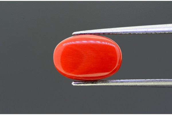 4.73 cts Natural Coral (Moonga)