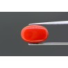 4.73 cts Natural Coral (Moonga)