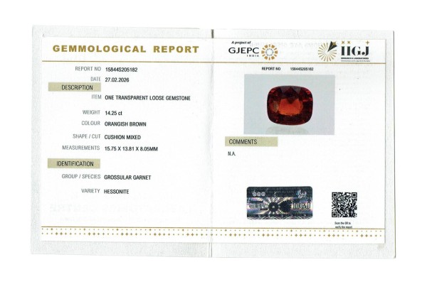 IIGJ Research & Laboratories | GJEPC Report for 14.25 cts Natural Hessonite Garnet (Gomedh)