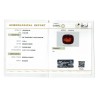 IIGJ Research & Laboratories | GJEPC Report for 14.25 cts Natural Hessonite Garnet (Gomedh)